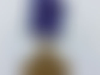 Artifact Friday: The Distinguished Flying Cross