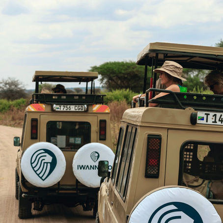 Derfor bør du velge privat safaribil i Tanzania
