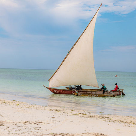 Start reisen på Zanzibar – avslutt med safari i Tanzania