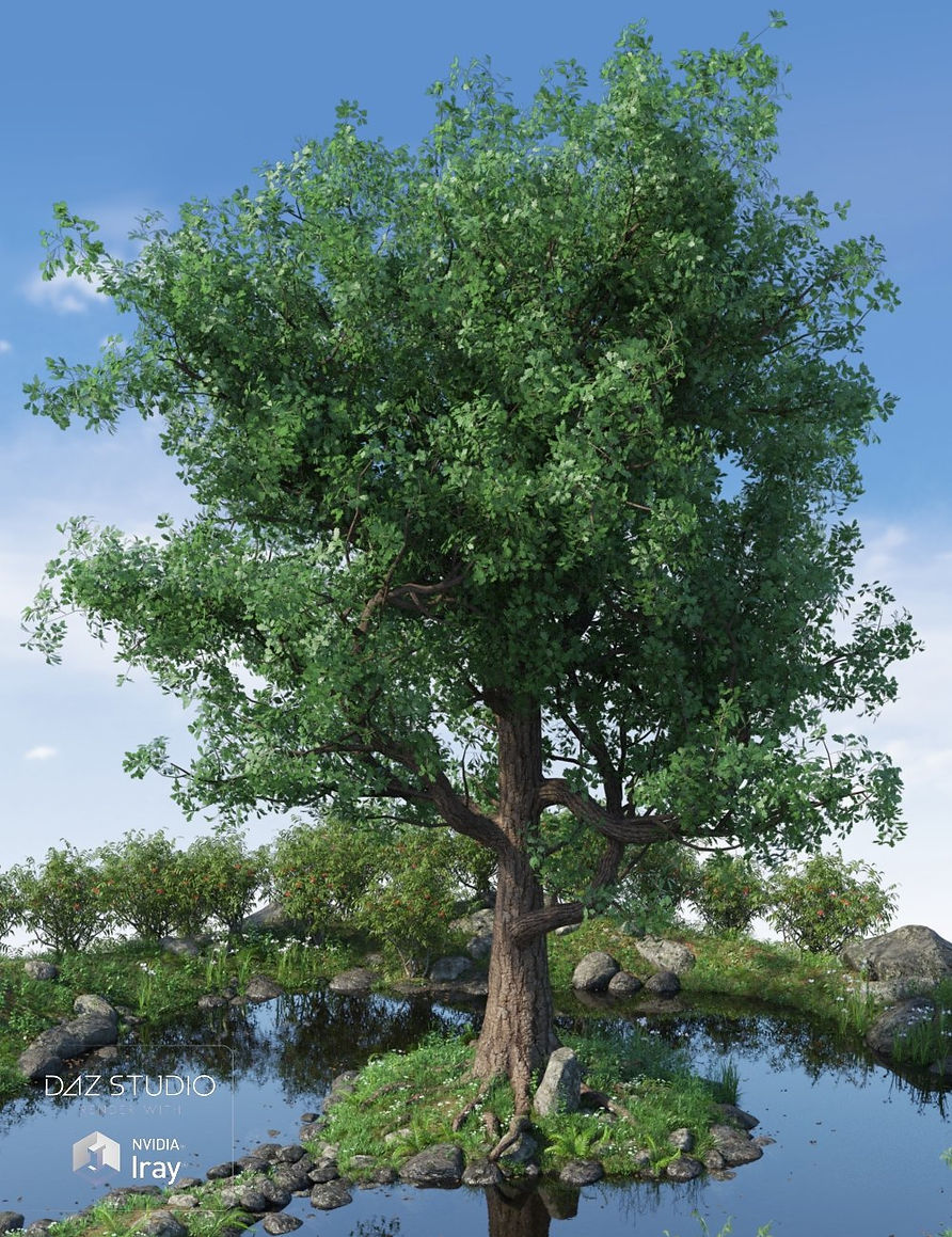 mighty-oak-08-daz3d - Copy.jpg