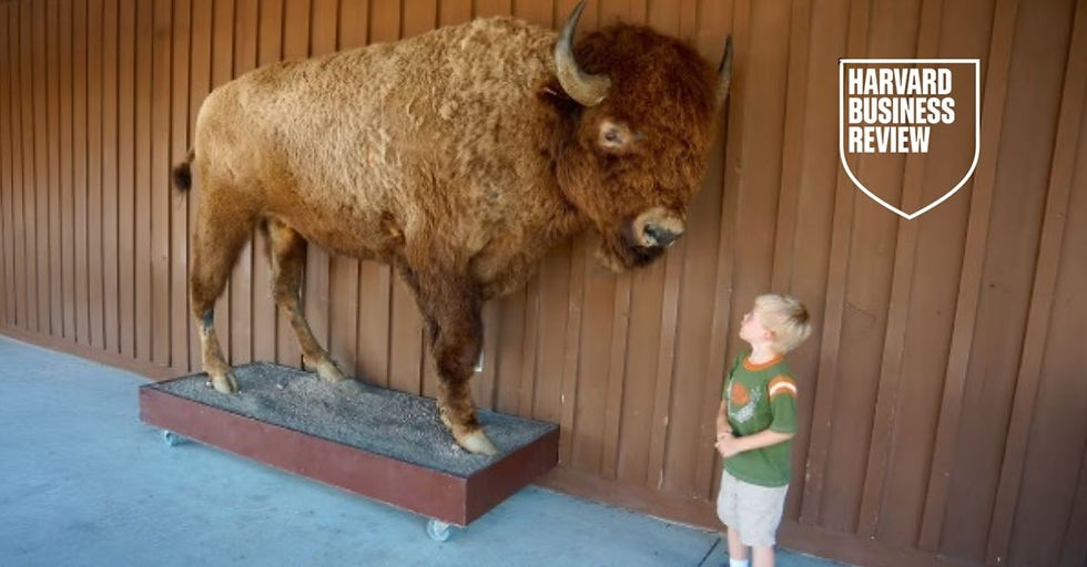 A young boy looks up at a massive mounted bison, illustrating the challenge of navigating intimidating power dynamics in senior leadership.
