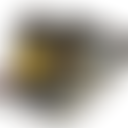 Claves para conservar la vivienda en la Ley de Segunda Oportunidad.