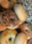 4 Plain Bagels