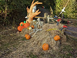 PXL_20221028_155904046.MP.jpg