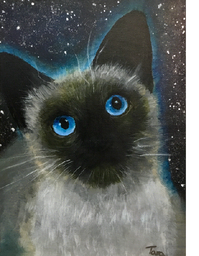 "Galaxy Cat"