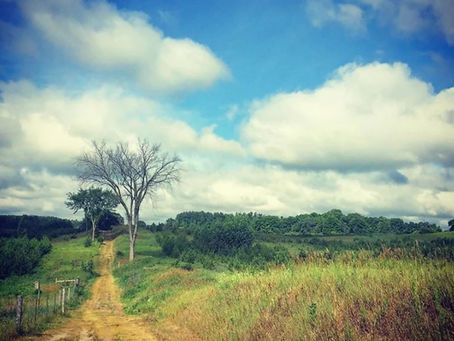 walking the diurnal purlieu; tenement, spirit, and pastoral worlds by Brian Michael Barbeito