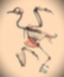 ree