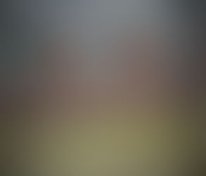 The House On Maple Avenue by William Falo