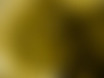 White Noise and Warm Dogs by Lois DeLong