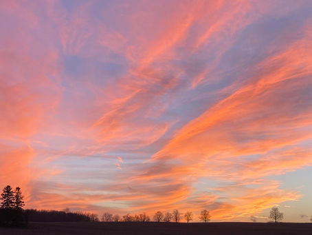 Reset Again; Family Reunion by Screams of Unfettered Minds