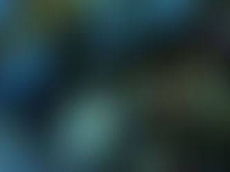 Lacuna; Imbolc by Erin Emily Ann Vance