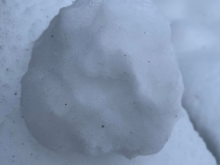 Rosemarie's Theorem; Verses and Reverses by Elliot Wilner