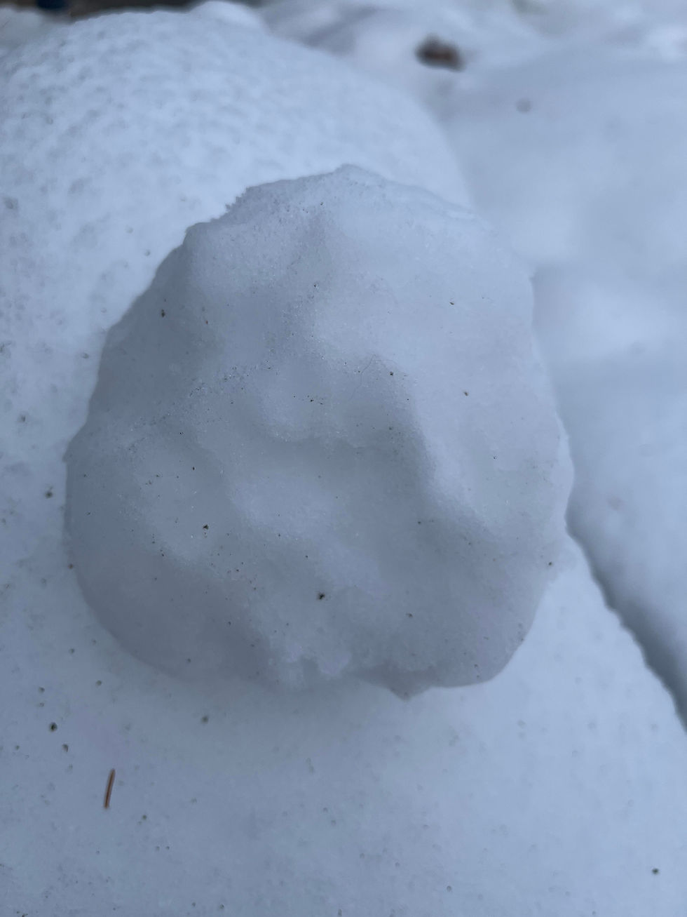 Rosemarie's Theorem; Verses and Reverses by Elliot Wilner