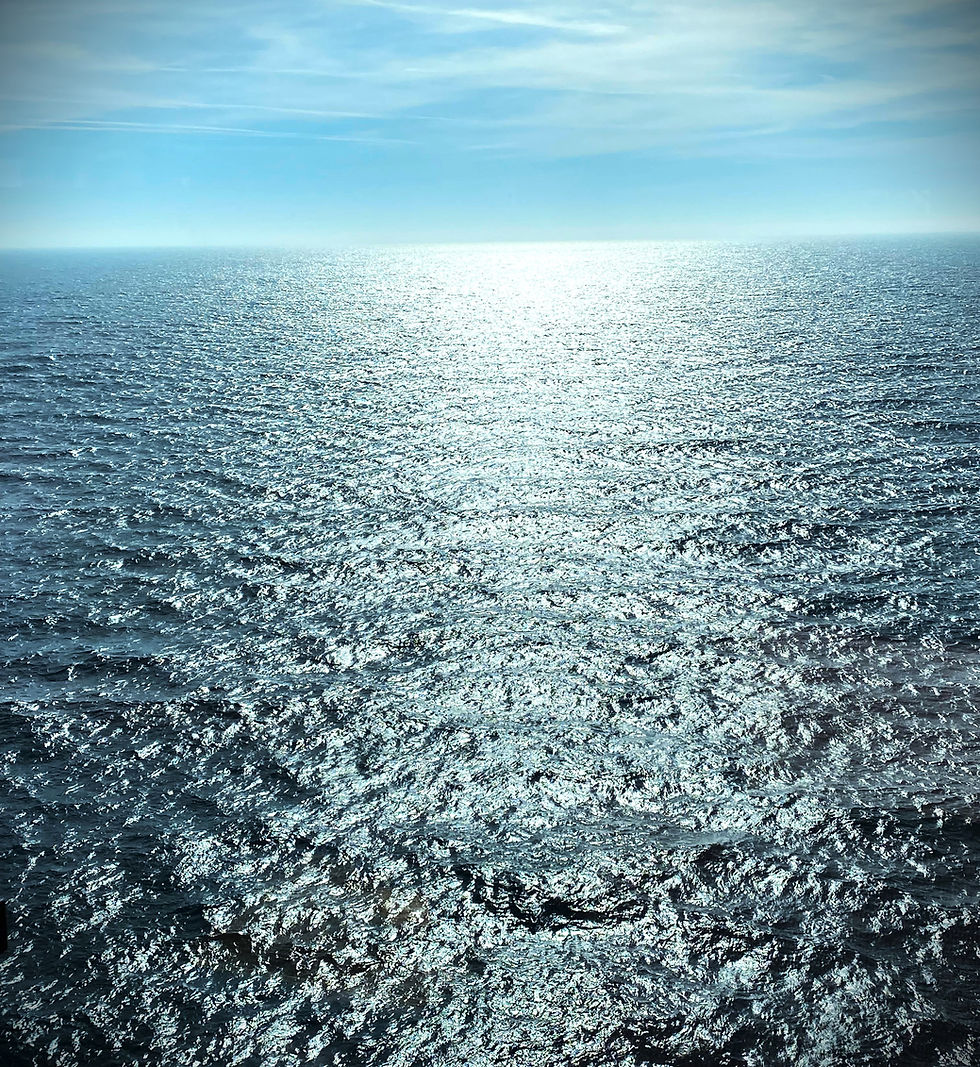 Shortlist Saturdays: Ripple by Leen Raats