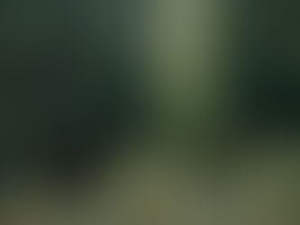 Why Does It Always Rain In Graveyards by Paul Marandina