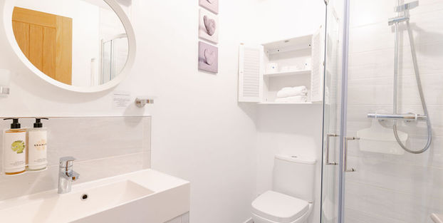 The Nest - En Suite - Walk in rainfall shower