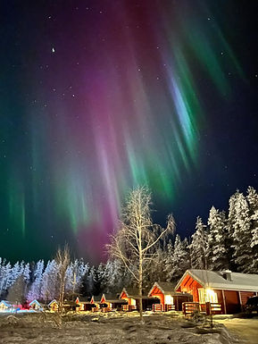 aurora and cabins.jpeg