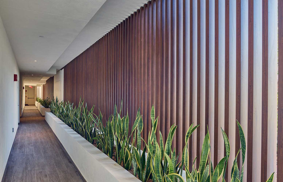 Condominium - Coconut Grove Neighborhood, Miami, FL
