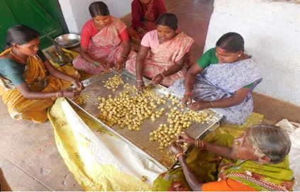 Fair-Trade practices in the Indian Agriculture