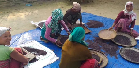 Fair-Trade practices in the Indian Agriculture