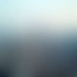 Designing Effective Operating Models in Cross-Border Markets