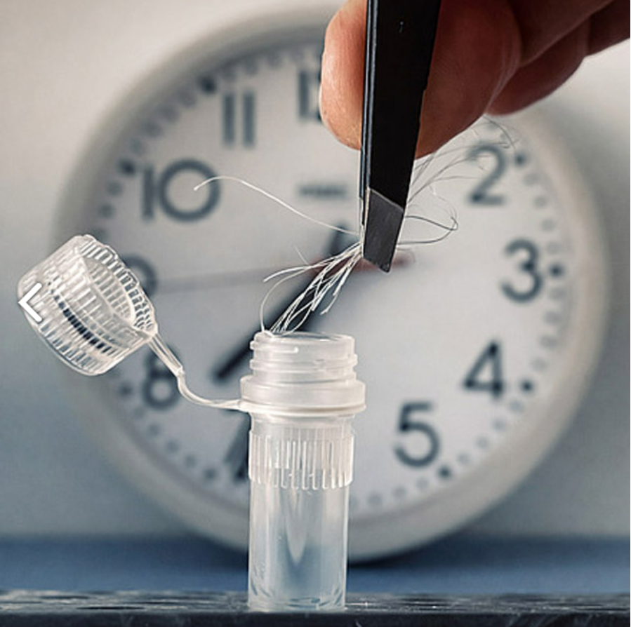 ▲ 모발 샘플 하나만으로도 개개인의 생체 시계 리듬을 파악할 수 있다. © Charité / Bert Maier