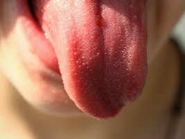 스트레스와 임신 중에 미각이 변하는 이유