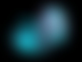 인간 배아의 골격 발달에 대한 첫 세포 청사진