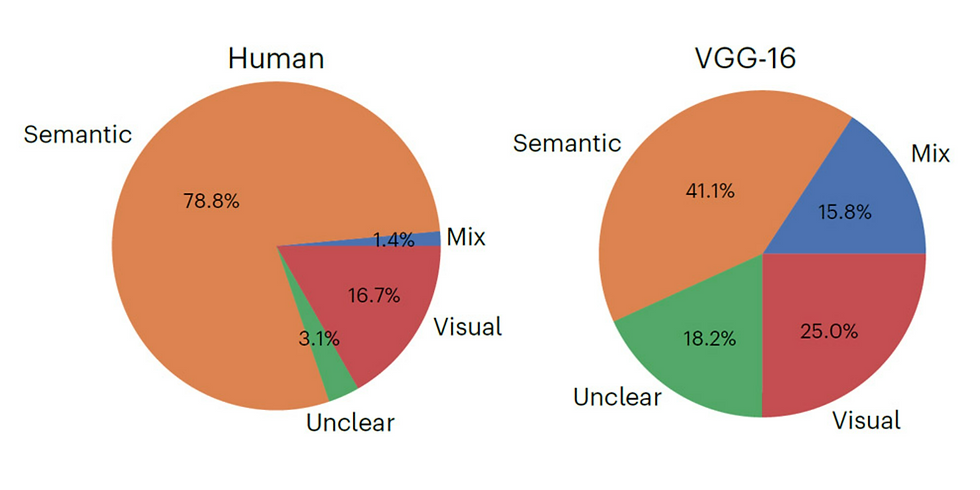 ▲ 인간과 AI가 작업에 사용하는 주요 차원 비교. © Mahner et al./ Nature Machine Intelligence, CC-by 4.0