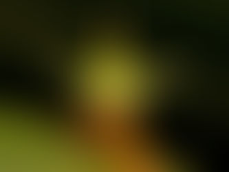 전기장을 감지해 적과 아군을 구별하는 곤충