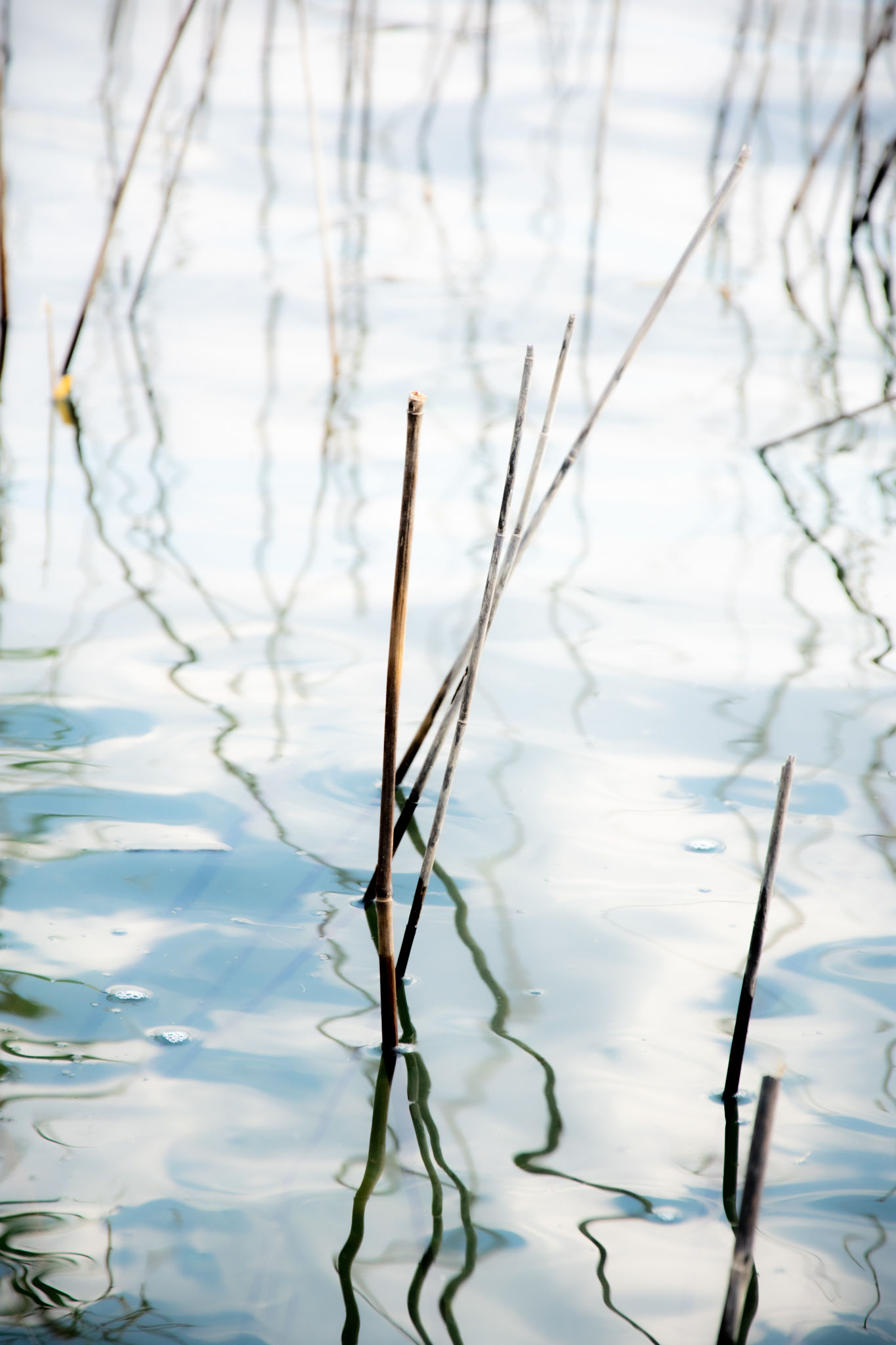 Water Expressions #9