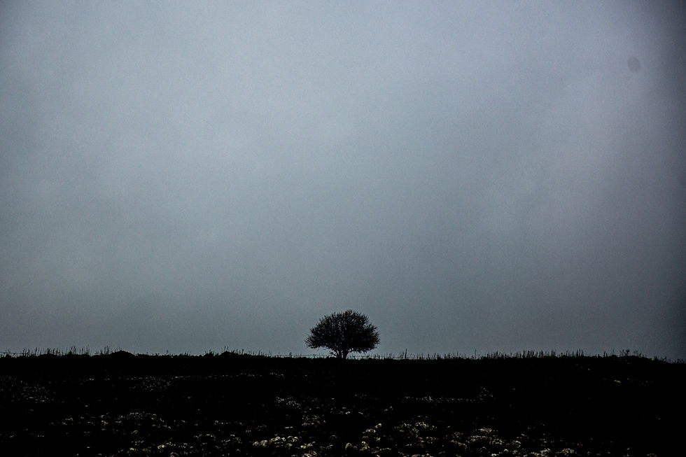 STORMY WEATHER - ינואר