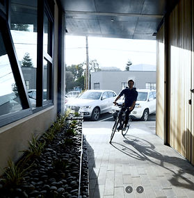 Indoor and Outdoor Courtyards, Paving, and Landscape Design, Parking Areas, Street Trees. 