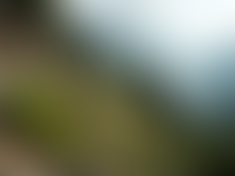 Understanding Site-Specific Design in Landscaping