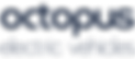 EV Logo (blue)-01.png