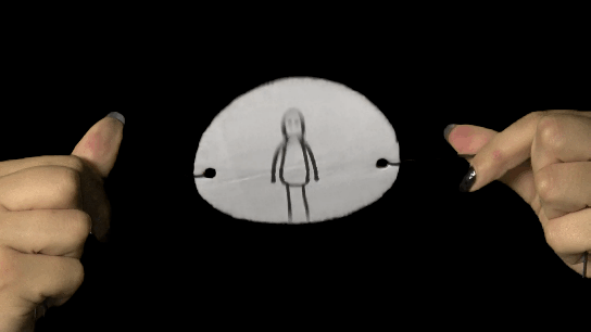 taumatroscópio6.gif