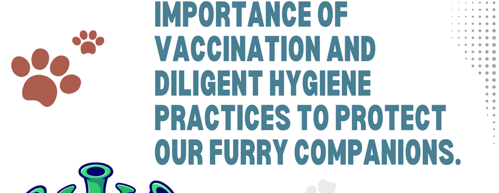 Parvovirus in Dogs