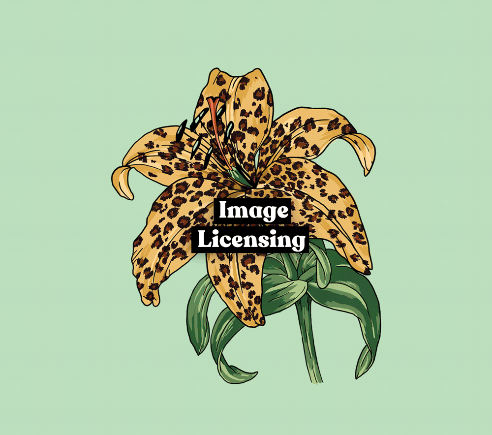 Image licensing