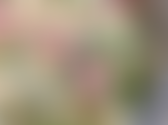 coquillettes, bacon & petit pois