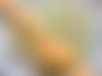 Brochettes de crevettes & riz cantonnais 