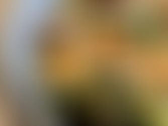 Courgettes rôties & halloumi 