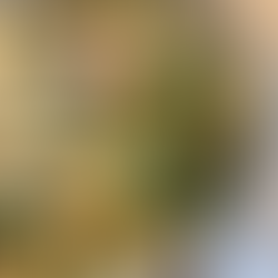 Ravioli à la toscane