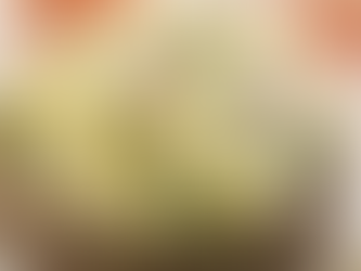 Salade de pomme de terre & cornichon