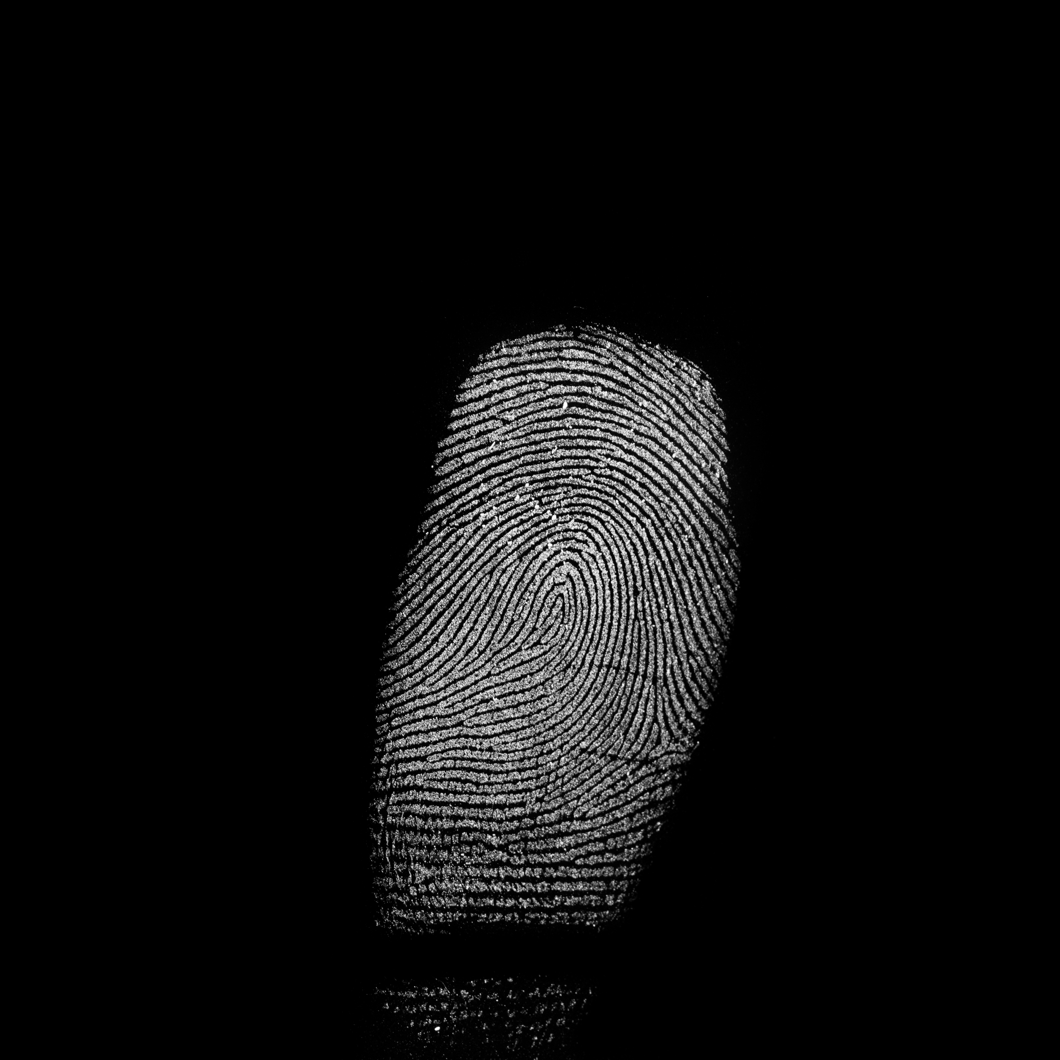 Forensic Investigation Finger Print