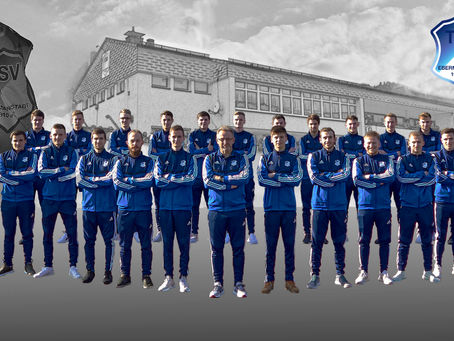 Sie sind wieder da ...