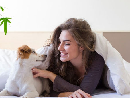 Your Guide to Buying the Best Bamboo Duvet Cover Online