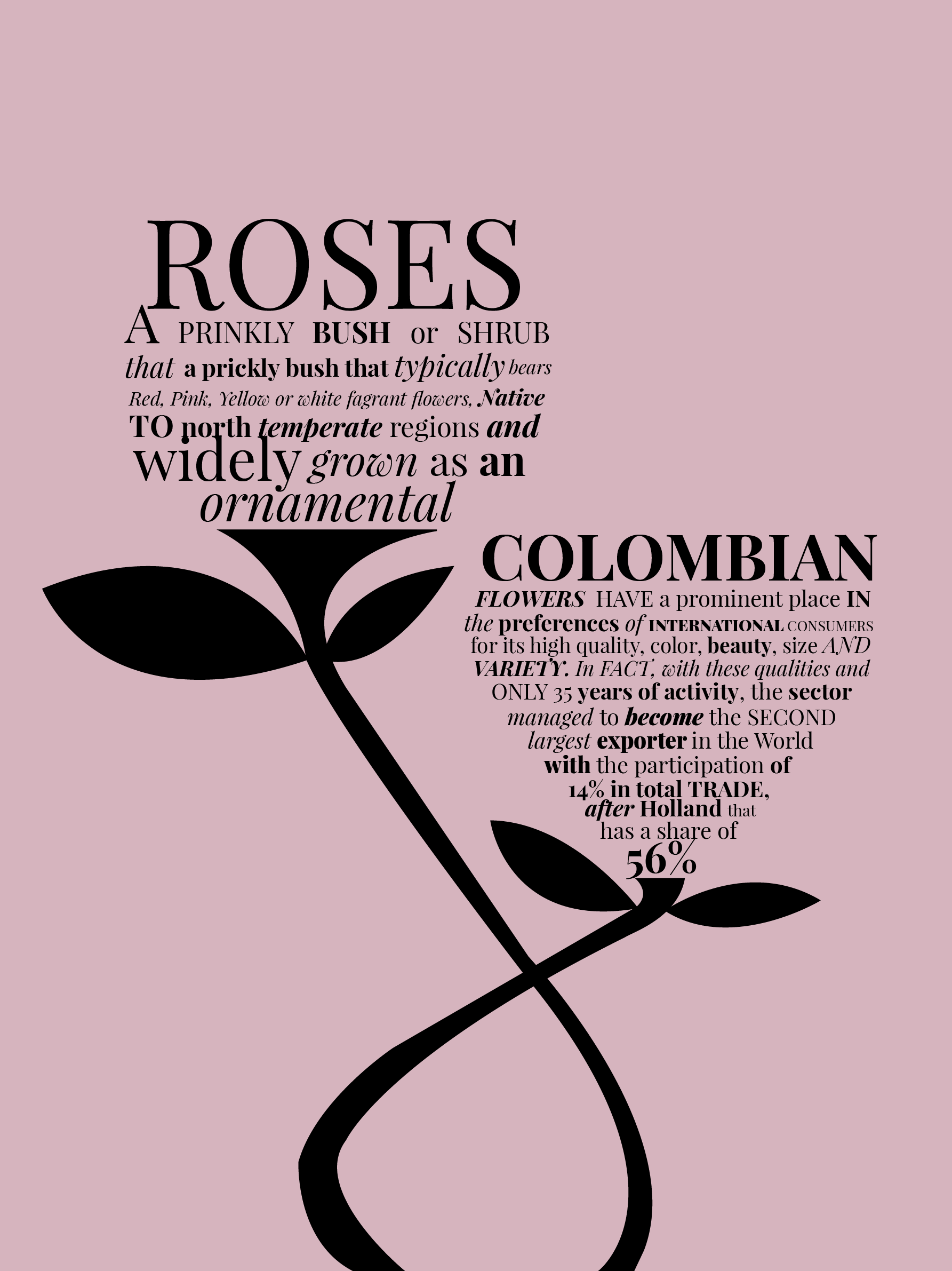 R. Roses; just get her Colombian roses.