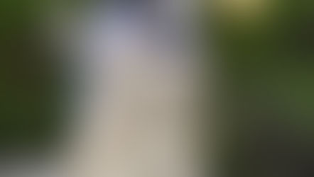 Screech And Mikey Show