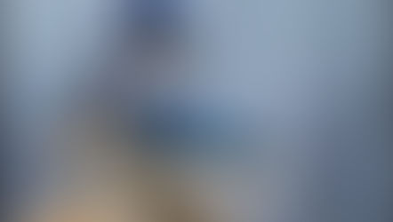 The Screech and Mikey Show!