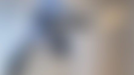 When it’s so windy, it knocks a peanut out of your mouth.